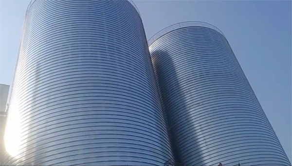 安康2座混凝土高架卷板仓